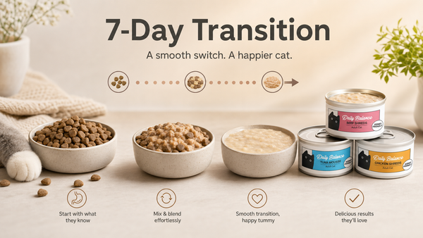 How to Transition Your Picky Eater to a New Wet Food